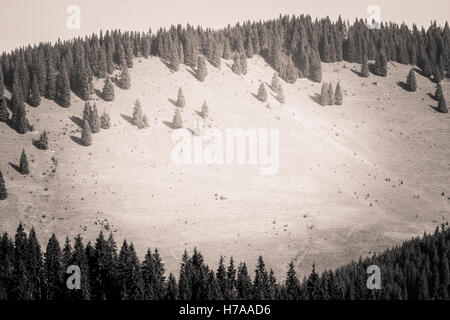 Eine wunderschöne Landschaft der Karpaten in Graustufen Stockfoto