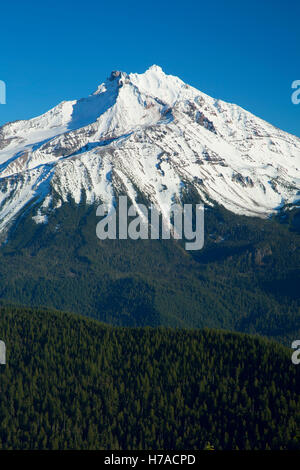 Mt Jefferson von Triangulation Peak, Mt Jefferson Wildnis, Willamette National Forest, Oregon Stockfoto