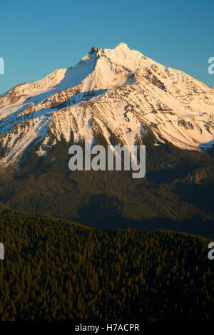 Mt Jefferson von Triangulation Peak, Mt Jefferson Wildnis, Willamette National Forest, Oregon Stockfoto