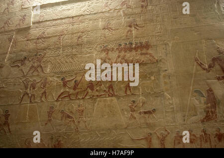 Ägypten. Sakkara. Mastaba des Ti. Ca. 2400 v. Chr. 5. Dynastie. Altes Königreich. Relief mit Viehzucht, Schlachtung und Schlachten. Stockfoto