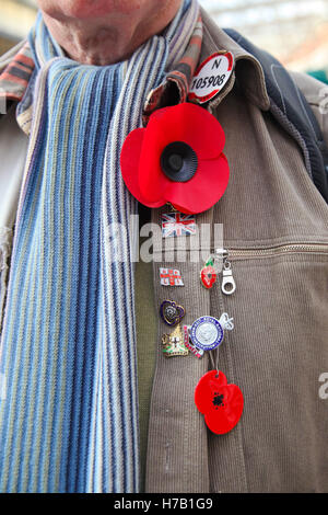 Waterloo Station, London, UK trifft 3. November 2016 - Verteidigungsminister Mitglieder der bewaffneten Kräfte an der Waterloo Station, sammeln für den Mohn Appell zugunsten der Royal British Legion. Bildnachweis: Dinendra Haria/Alamy Live-Nachrichten Stockfoto