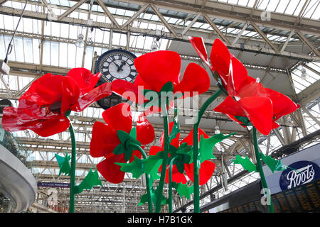 Waterloo Station, London, UK trifft 3. November 2016 - Verteidigungsminister Mitglieder der bewaffneten Kräfte an der Waterloo Station, sammeln für den Mohn Appell zugunsten der Royal British Legion. Bildnachweis: Dinendra Haria/Alamy Live-Nachrichten Stockfoto