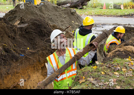 Flint, Michigan, USA. 3. November 2016. Großem Umfang Ersatz von Blei und verzinktem Stahl Service Wasserleitungen beginnt. Die Stadt hofft, Rohre, 800 Häuser in diesem Herbst ersetzen. Flints Wasserversorgung wurde mit Blei verunreinigt, nachdem Staatsbeamte im Jahr 2014 beschlossen, der Stadt Trinkwasser aus der Flint River ohne angemessene Behandlung. Bildnachweis: Jim West/Alamy Live-Nachrichten Stockfoto