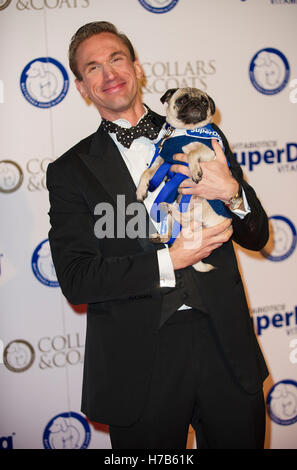 London, UK. 3. November 2016. besucht von Battersea Hunde und Katzen zuhause jährliche Kragen und Mäntel Gala am 3. November 2016 in London, Vereinigtes Königreich Credit: Gary Mitchell/Alamy Live News Stockfoto