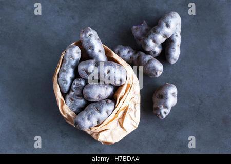 VITELOTTE, auch genannt Vitelotte Noire, Négresse oder Truffe de Chine ist eine Gourmet-französische Sorte von blau-violetten Kartoffel. Stockfoto