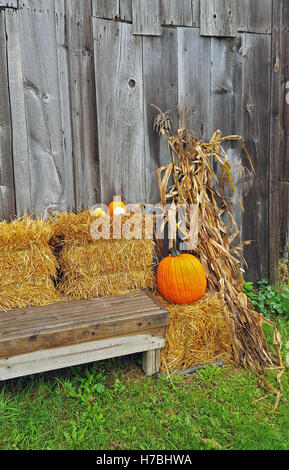 im Herbst Kürbisse auf Heuballen Holzbank und Scheune Stockfoto