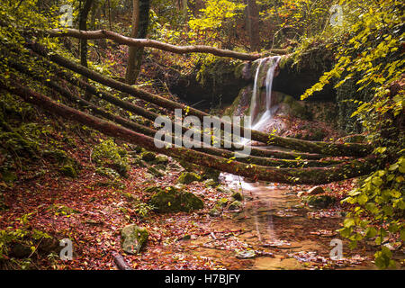 Wasserfall im bunten Herbstwald - Italien. Stockfoto