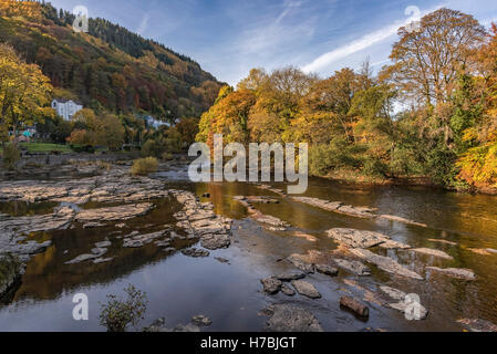 River Dee at llangollen Denbighshire North Wales. Autumn colours and leaves on the trees. Stockfoto