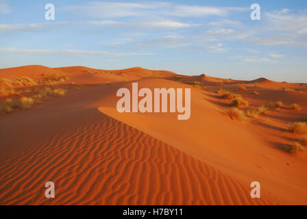 Nordafrika, Marokko, Maroc, Merzouga Stockfoto