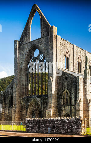 Tintern Abbey in Monmouthshire, Wales. Stockfoto