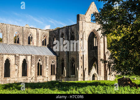 Tintern Abbey in Monmouthshire, Wales. Stockfoto