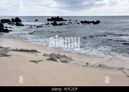 Wellen brechen sich am Strand des toten Mannes in der Nähe von Georgetown auf Ascension Island Stockfoto