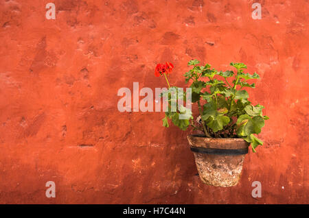 Rote Komposition Stockfoto