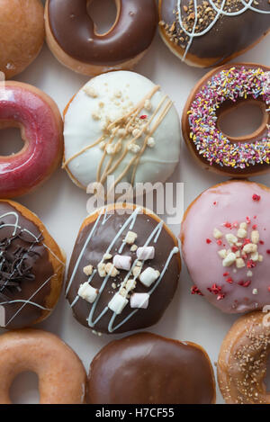 Eine Auswahl-Box von einem Dutzend Donuts. Stockfoto