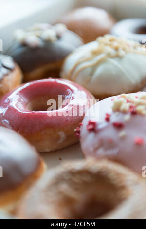 Eine Schachtel mit ein Dutzend Donuts. Rosa Donut ist im Fokus. Stockfoto