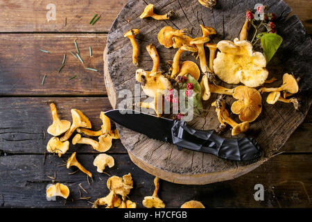 Wald-Pfifferlinge mit wilde Himbeeren und Turist Messer auf Holz stumpf über alten hölzernen Hintergrund. Ansicht von oben, sp kopieren Stockfoto