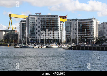 Belfast Hafen Marina und Unterkunft in Abercorn Marina, Hafen von Belfast, Belfast, Nordirland. Stockfoto