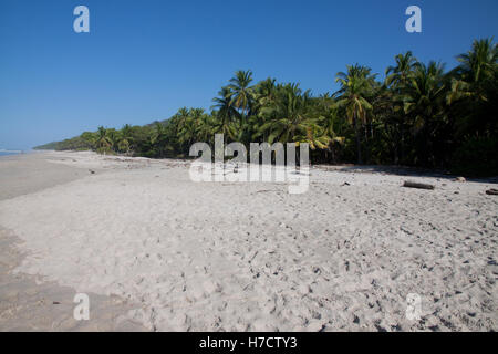 Wilden natürlichen Strand Costa Rica, Santa Teresa Stockfoto