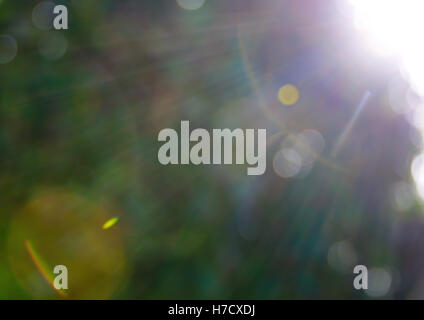 Abstrakte Kreise aus der Sonne und Lens Flare - Hintergrund in grünen Farben Stockfoto