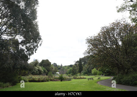 Die Royal Botanic Gardens in Melbourne. Stockfoto