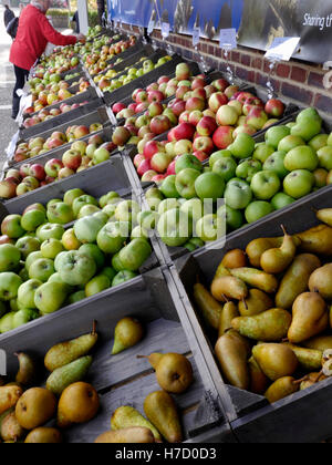 OBSTMARKT Birnen und Äpfel Sorten auf dem Bauernhof zu verkaufen Marktstand mit Einkäufern in Surrey UK Stockfoto