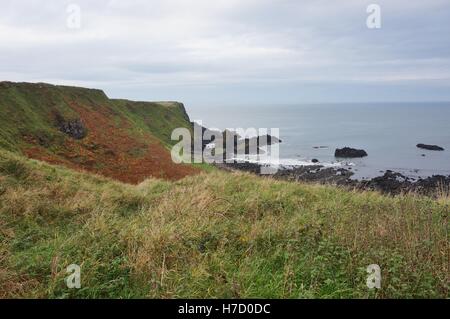 Landschaftsbild des Bereichs Giants Causeway in Nordirland Stockfoto