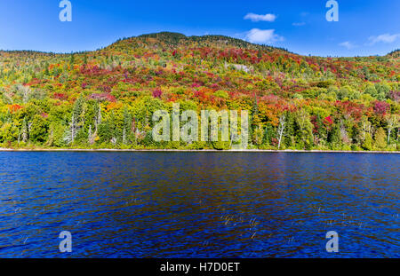 Herbst an Auswirkungen auf Ferienhaus Land nördlich der Quebec. Bäume, Blut rot vor dem Winter-Ansturm zu drehen. Stockfoto