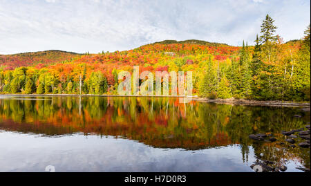 Herbst an Auswirkungen auf Ferienhaus Land nördlich der Quebec. Bäume, Blut rot vor dem Winter-Ansturm zu drehen. Stockfoto