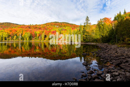 Herbst an Auswirkungen auf Ferienhaus Land nördlich der Quebec. Bäume, Blut rot vor dem Winter-Ansturm zu drehen. Stockfoto