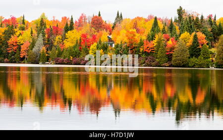 Herbst an Auswirkungen auf Ferienhaus Land nördlich der Quebec. Bäume, Blut rot vor dem Winter-Ansturm zu drehen. Stockfoto