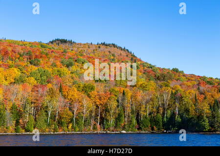 Herbst an Auswirkungen auf Ferienhaus Land nördlich der Quebec. Bäume, Blut rot vor dem Winter-Ansturm zu drehen. Stockfoto