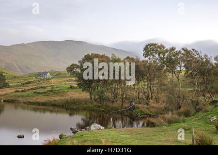 Cregennan Seen, Gwynedd, Snowdonia Nationalpark, North Wales, UK Stockfoto