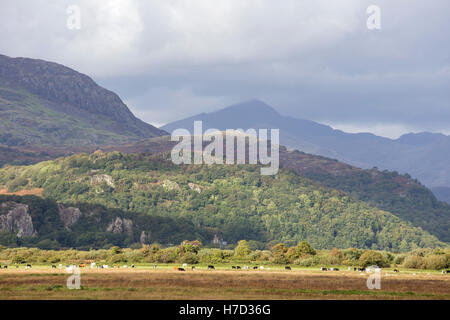 Snowdon (Yr Wyddfa) von Glaslyn Sümpfe SSSI, Porthmadog, Snowdonia National Park, North Wales, UK Stockfoto