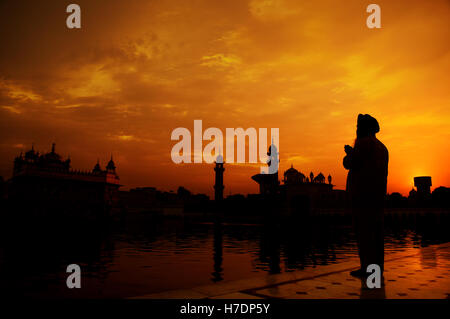 Sikh Gebet am goldenen Tempel in Amritsar Stockfoto