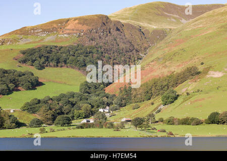 Snowdonia Landschaft im Tal y Llyn Lake (Llyn Mwyngil), Snowdonia National Park, North Wales, UK Stockfoto