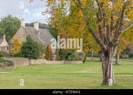 Die malerischen Cotswolds Dorf Wyck Rissington im Herbst, Gloucestershire, England, UK Stockfoto