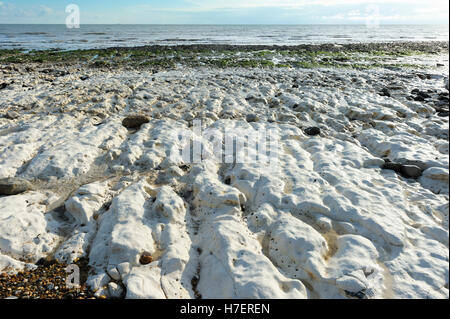 Weiße Kreide Ablagerungen am Strand in der Nähe von Kingsdown, Kent Stockfoto