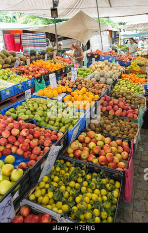 Obst zum Verkauf auf dem berühmten Wochenmarkt in Barcelos, Portugal Stockfoto