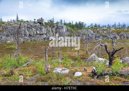 Naturlandschaft Berg Vottovaara nach langjähriger Waldbrand. Karelien, Russland Stockfoto