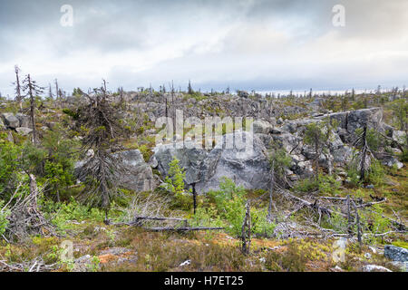 Naturlandschaft Berg Vottovaara nach langjähriger Waldbrand. Karelien, Russland Stockfoto