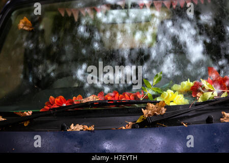 Auto Windschutzscheibe bedeckt im Herbstlaub, Auto, Herbst, Windschutzscheibe, Herbst, Baum, Kapuze, Reise, Tag, braun, gelb, Wischer, Verkehr, m Stockfoto