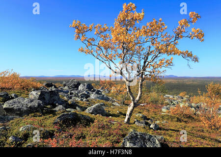 Autumn in the mountains Stockfoto