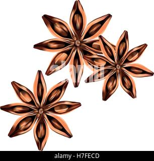 Stars der Anis auf dem weißen Hintergrund isoliert. Vektor-illustration Stock Vektor