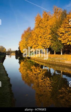 Großbritannien, England, Cheshire, Sandbach, Malkin Bank, herbstliche Bäume aus Trent und Mersey Kanal im Herbst Stockfoto