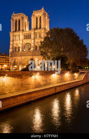 Kathedrale Notre Dame de Paris beleuchtet in der Dämmerung mit dem Seineufer auf Île De La Cité. Paris, Frankreich Stockfoto