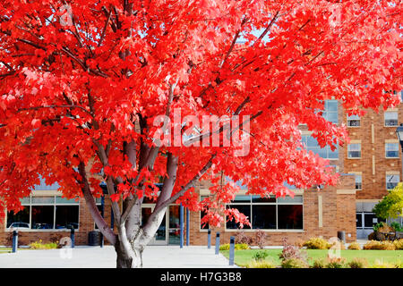 Gonzaga University in Spokane, Washington Stockfoto