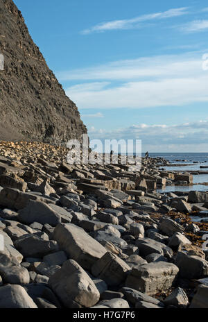 Platten aus dem gelben Leiste Dolomit Bett, Henne Klippe, Kimmeridge Bay, Dorset Stockfoto