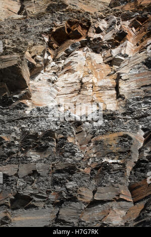 Die Klippen von Kimmeridge Bay, Dorset, Großbritannien Stockfoto