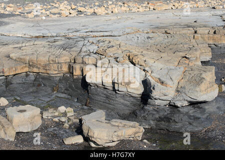 Wohnungen Kalksteinen Bett Fels-Pools, Kimmeridge Bay, Dorset Stockfoto