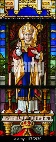 Glasmalerei-Fenster Darstellung Saint Rumbold, dem Schutzpatron von Mechelen, in der Kathedrale von Saint Rumbold in Mechelen, Belgien Stockfoto